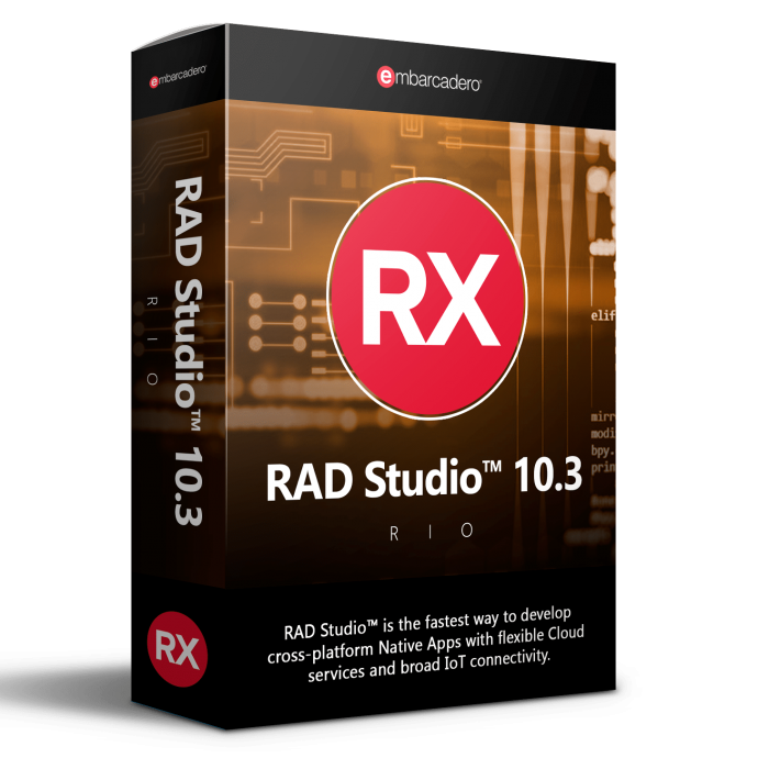 RAD Studio in Romania